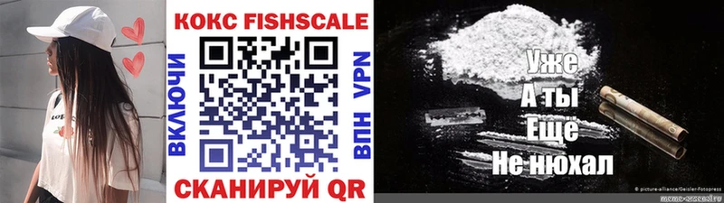 Кокаин Fish Scale  Рузаевка 