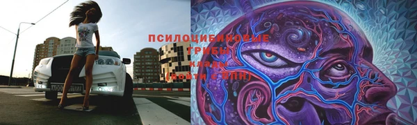 а пвп мука Верхний Тагил