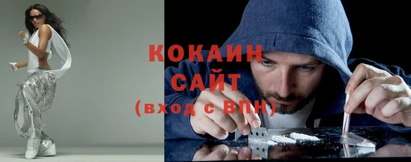 прущие грибы Верея