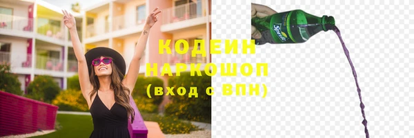 прущие грибы Верея