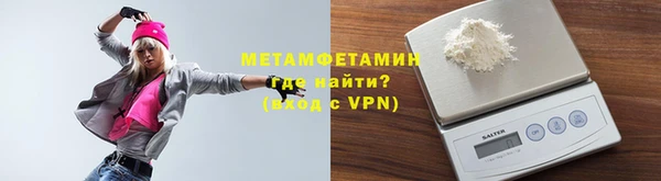 прущие грибы Верея