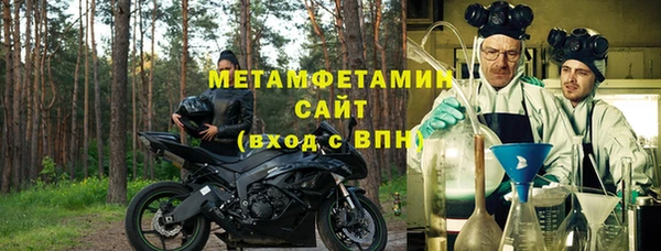 прущие грибы Верея