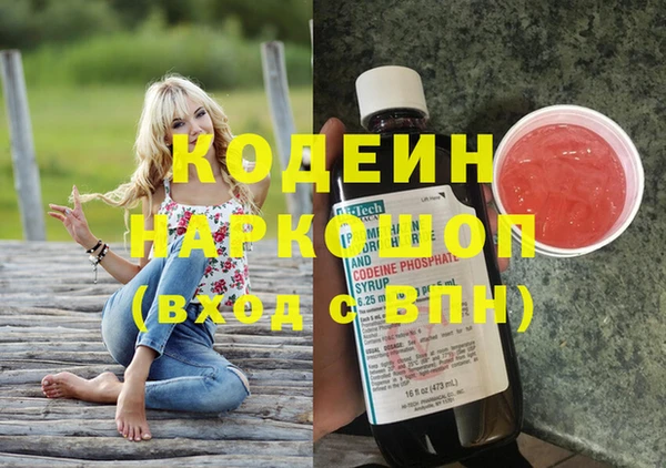 прущие грибы Верея