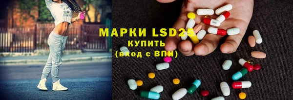 прущие грибы Верея
