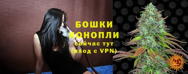 прущие грибы Верея
