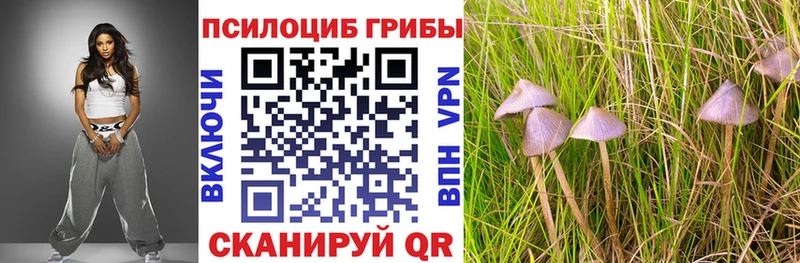 Галлюциногенные грибы Magic Shrooms  Рузаевка 